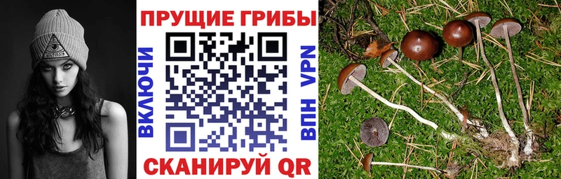 Купить закладки  Углич  Галлюциногенные грибы ЛСД 
